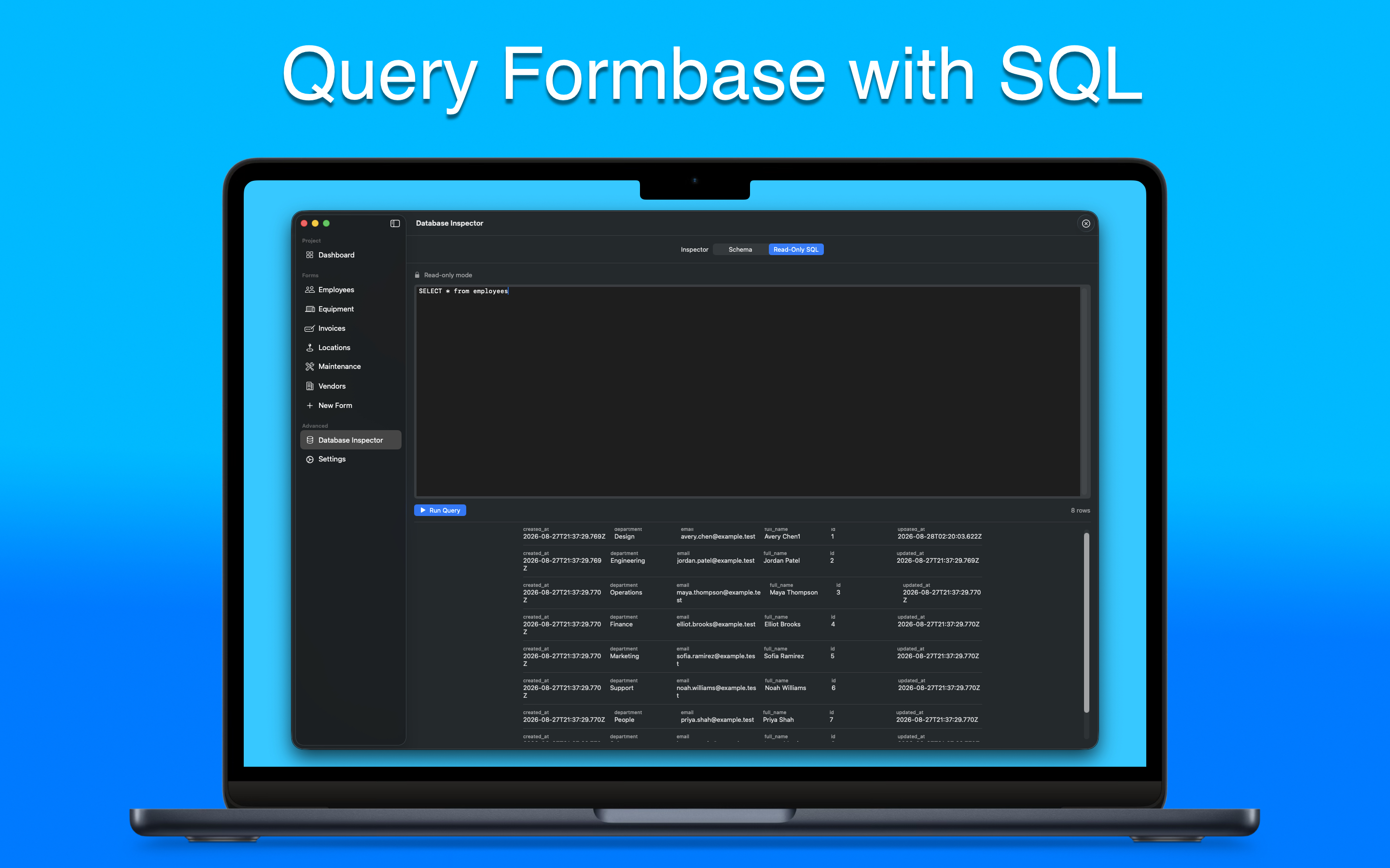 Running a read-only SQL query in the database inspector